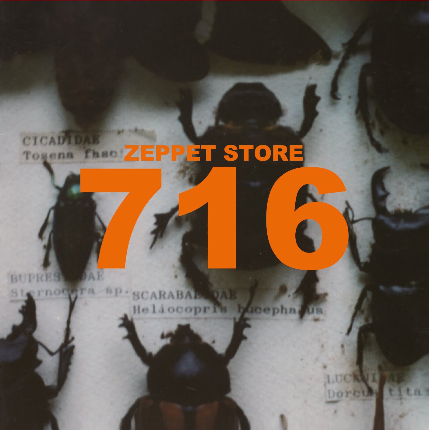 Amazon.co.jp: 716 -Special Edition-: ミュージック