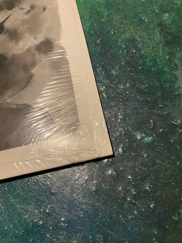 Amazon.co.jp: 唾奇 道-TAO- アナログレコード Sweet William LP : ホビー