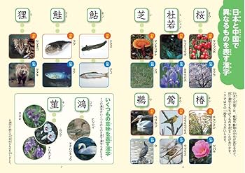 新レインボー小学漢字辞典 改訂第6版新装版 ワイド版(オールカラー