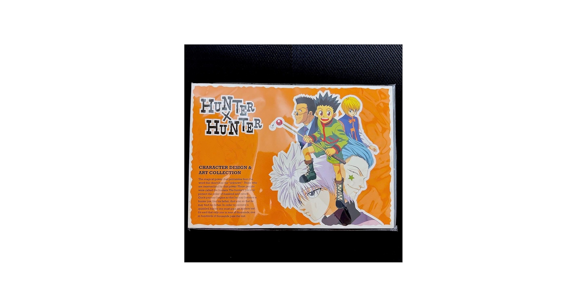 Amazon.co.jp: HUNTER×HUNTER ハンターハンター アニメ 設定資料集