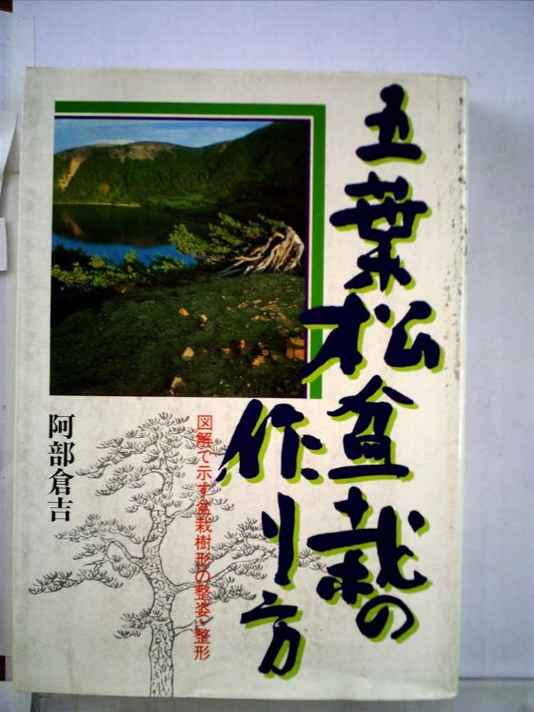 五葉松盆栽の作り方―図解で示す盆栽樹形の整姿・整形 | 阿部倉吉 |本