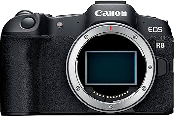 Amazon.com : Canon EOS R8 Full-Frame Mirrorless Camera (Body Only