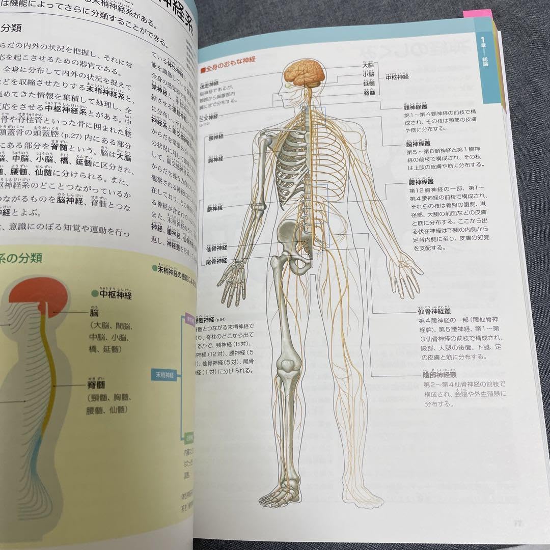 Amazon.co.jp: ぜんぶわかる人体解剖図 系統別部位別にわかりやすく