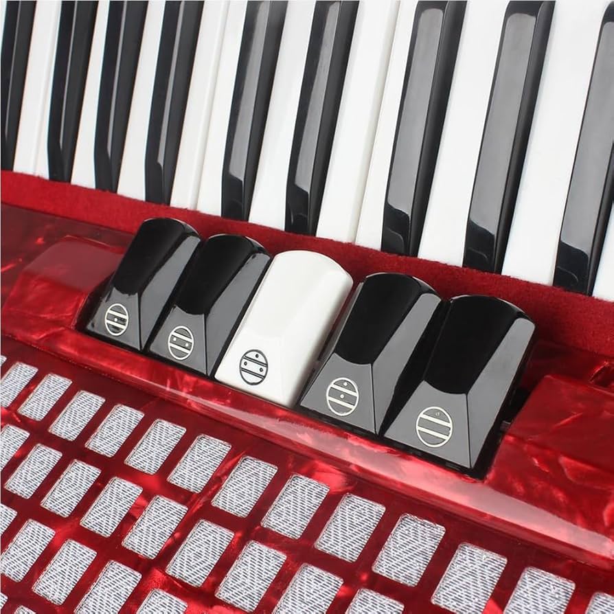 Amazon.co.jp: アコーディオン 48 ベース 34 キー プロの鍵盤楽器
