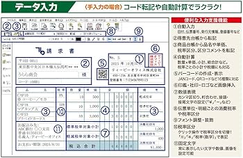 Amazon.co.jp: TB 指定伝票 13 : PCソフト