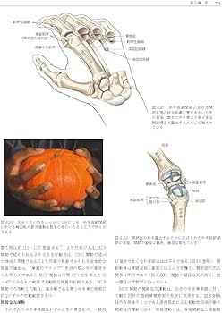 筋骨格系のキネシオロジー 原著第3版 | Donald A.Neumann, P.D.Andrew
