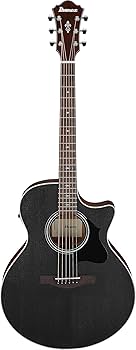 Amazon | Ibanez/アイバニーズ オール・オコウメ(TOP単板)仕様の
