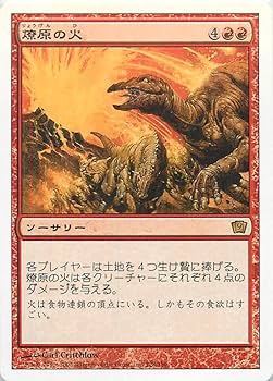 マジックザギャザリング。49枚全てサイン入りです。ファイル丸ごと出品