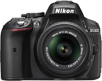Amazon.com : Nikon D5300 24.2 MP CMOS Digital SLR Camera with 18