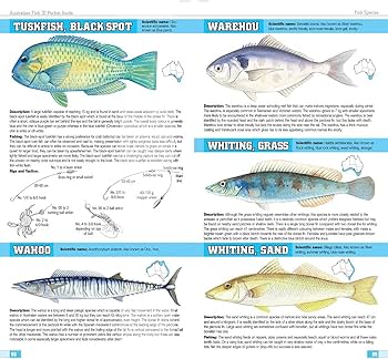 Australian Fish ID Pocket Guide: 9781865132280: Amazon.com: Books