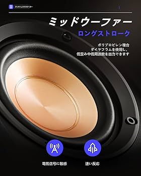 Amazon.co.jp: Donner ブックシェルフスピーカー 2.0 パッシブ