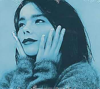 ビョーク ミュージックビデオ ヴォリューメン ほぼ未使用 ビョーク