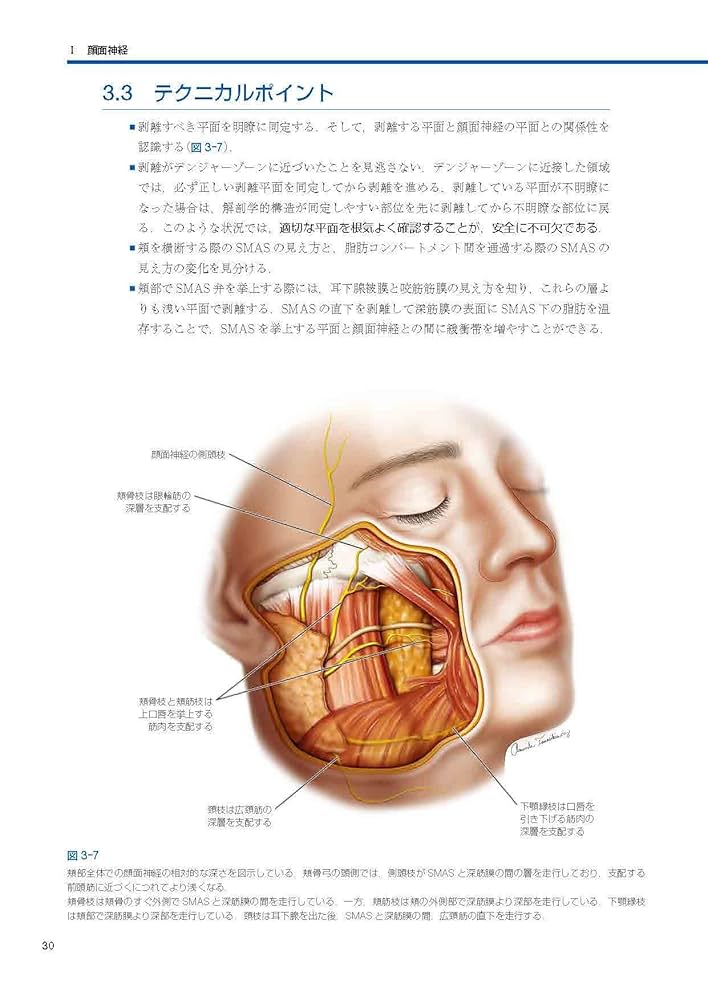 裁断済 Facial Danger Zones 日本語版 【公式通販】