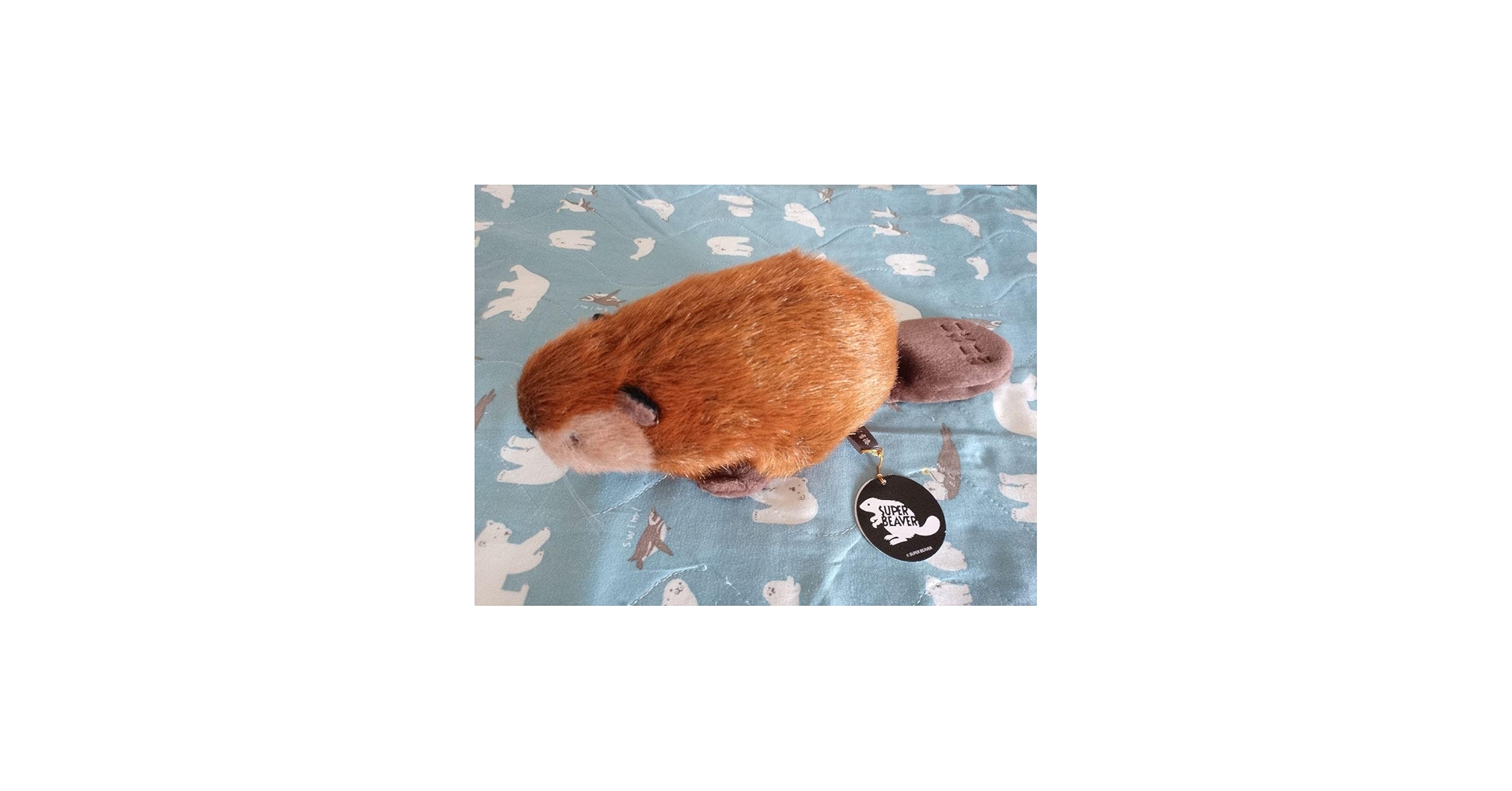 Amazon.co.jp: SUPERBEAVER ぬいぐるみ 吉徳 スーパービーバーちゃん