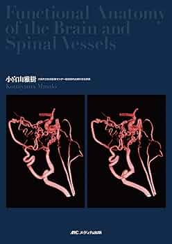 71nYYEFPD7L._AC_UF350,