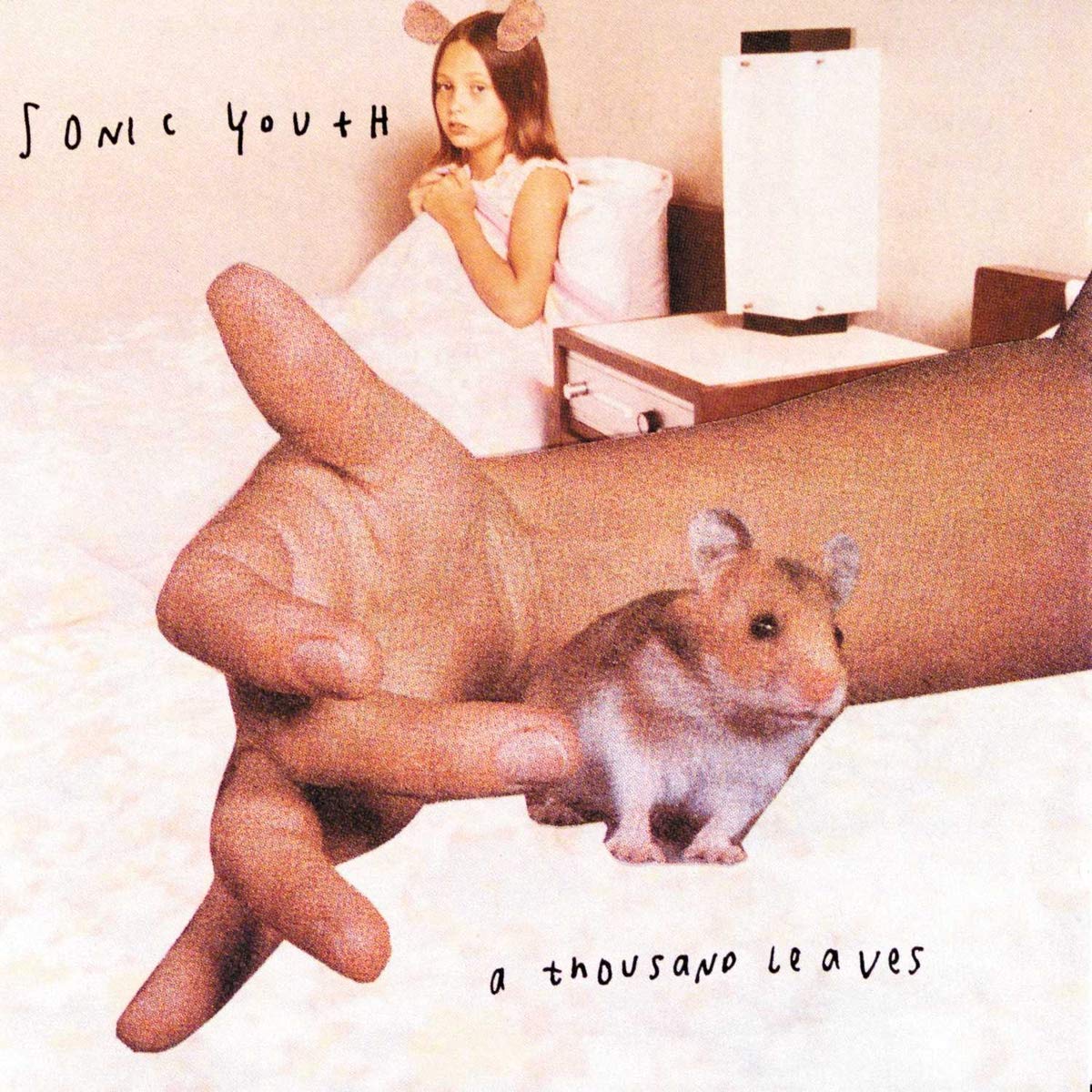 Thousand Leaves: SONIC YOUTH: Amazon.ca: Music