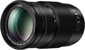 Amazon.com : Panasonic LUMIX G II Vario Lens, 100-300MM