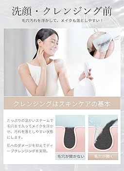 Amazon.co.jp: 【美人百花微粒子化スチーマー美顔器部門NO1】ANLAN