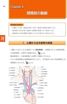 歯科国試パーフェクトマスター 口腔解剖学 第2版 | 阿部 伸一 |本