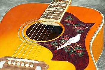 Amazon | EPIPHONE/DOVE STUDIO VB (Violinburst) (DOVE PRO