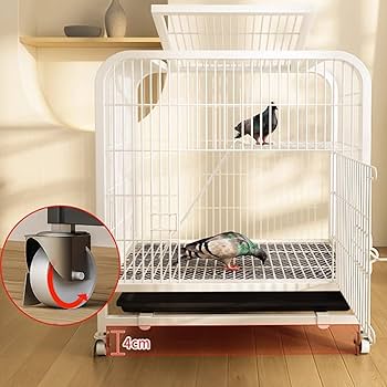 Amazon | 鳥かご 金属 大型 白色 60×45×66cm オカメ インコ 文鳥 鳩 鳥