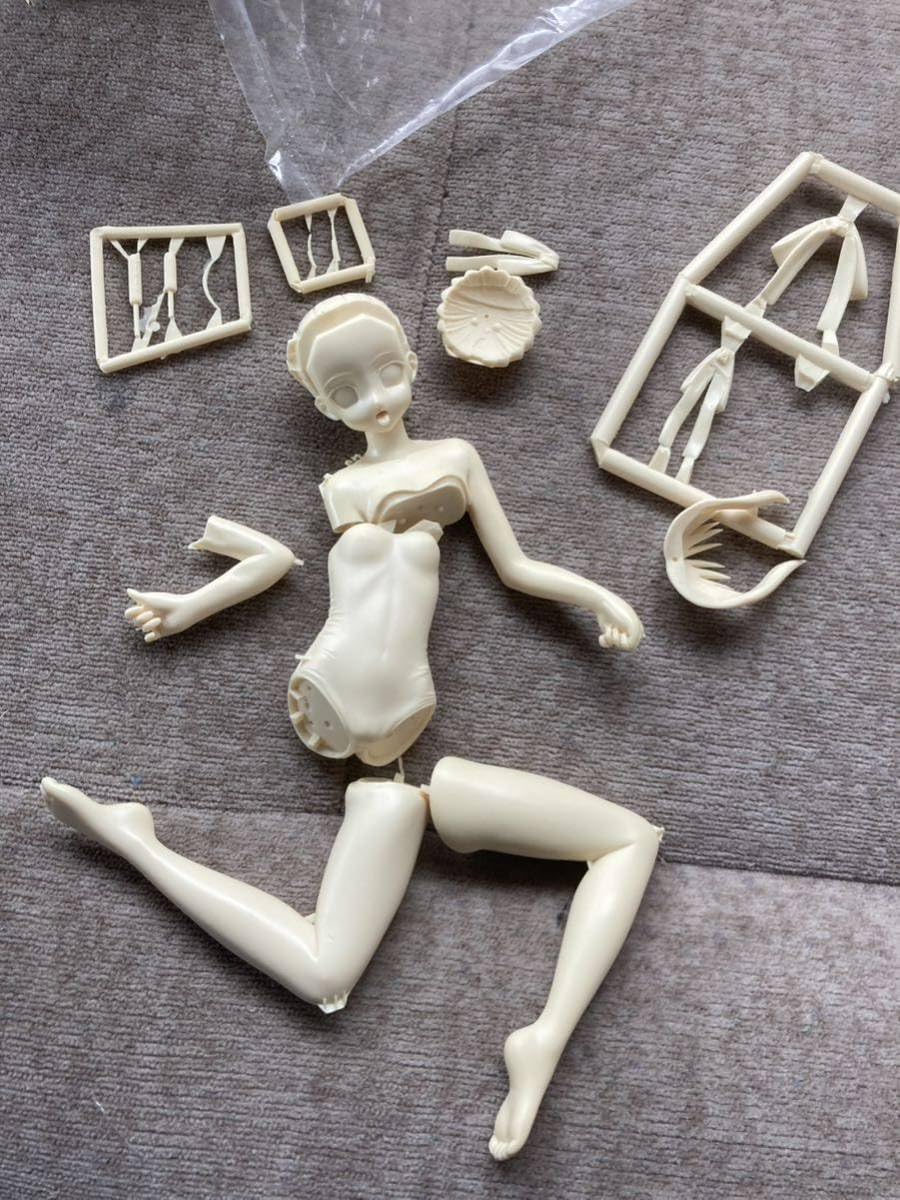 Amazon.co.jp: コトブキヤ 1/8 セイバー 水着Ver. ガレージキット