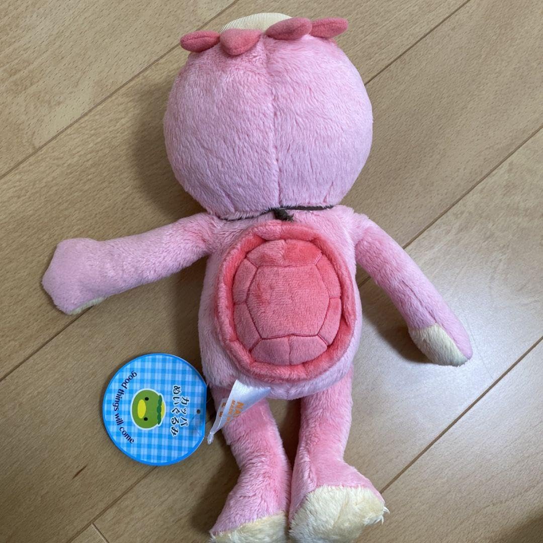 Amazon.co.jp: ご当地カッパのぬいぐるみ上高地 カエルのピクルス