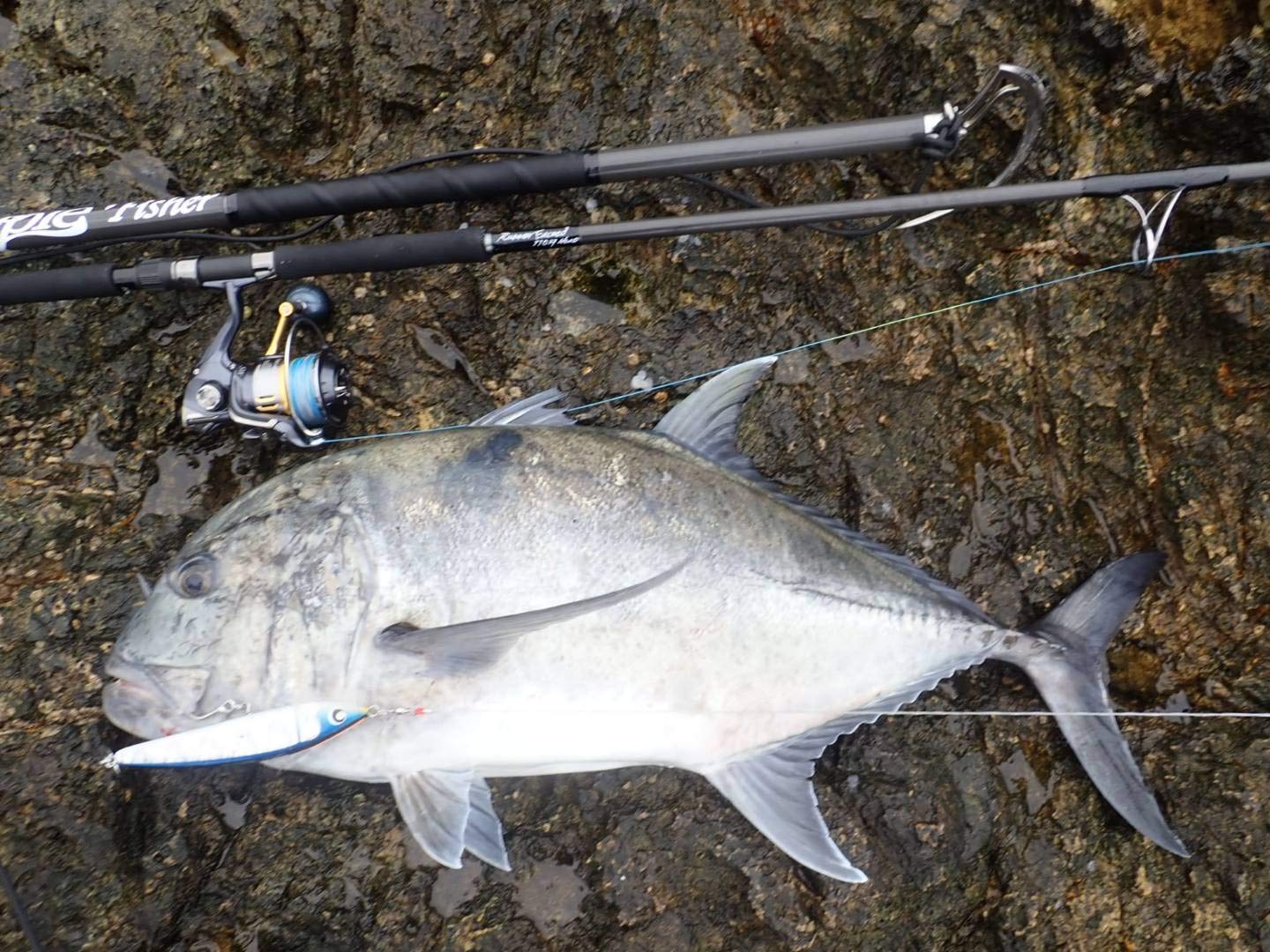 Amazon | RippleFisher RunnerExceed 103H/ リップルフィッシャー