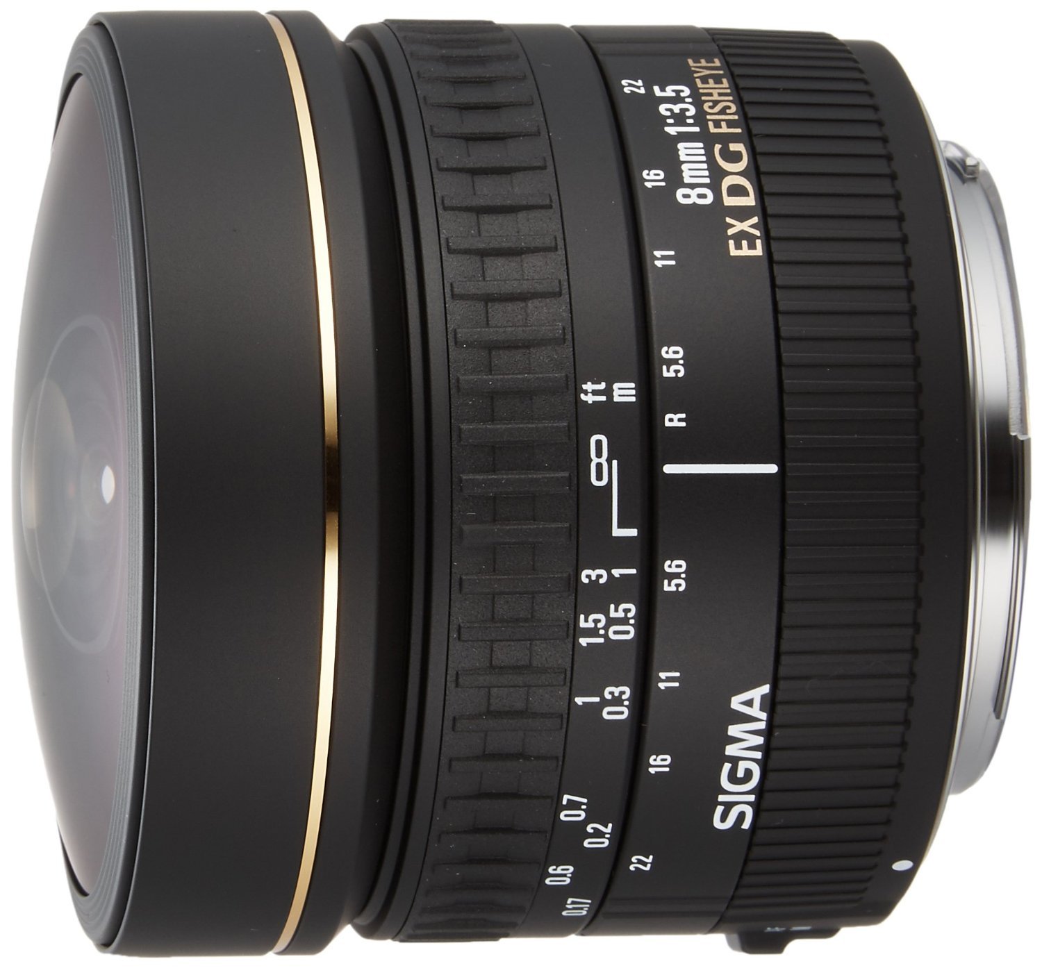 Amazon.com : Sigma 8mm f/3.5 EX DG Circular Fisheye Lens for Canon