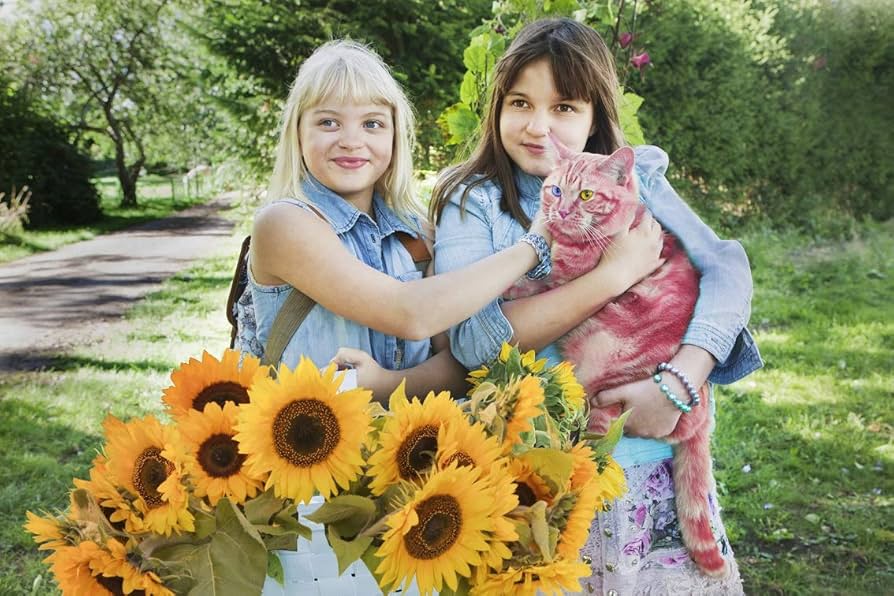 Amazon.co.jp: オンネリとアンネリとひみつのさくせん [Blu-ray