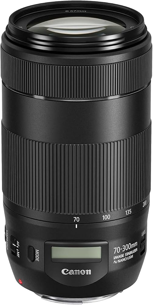 Canon EF 70-300mm f/4-5.6 is II USM Lens : Amazon.ca: Electronics