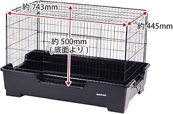 Amazon | 三晃商会 SANKO ワイルドホーム フェレット | Sanko | 飼育