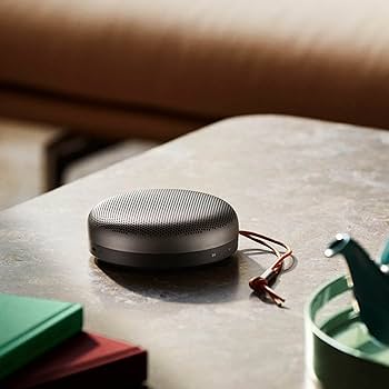 Amazon.co.jp: Bang & Olufsen Portable Speaker Beosound A1 2nd