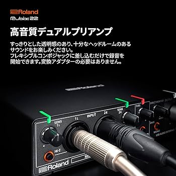 Amazon.co.jp: ローランド ROLAND Rubix22 USB AUDIO INTERFACE