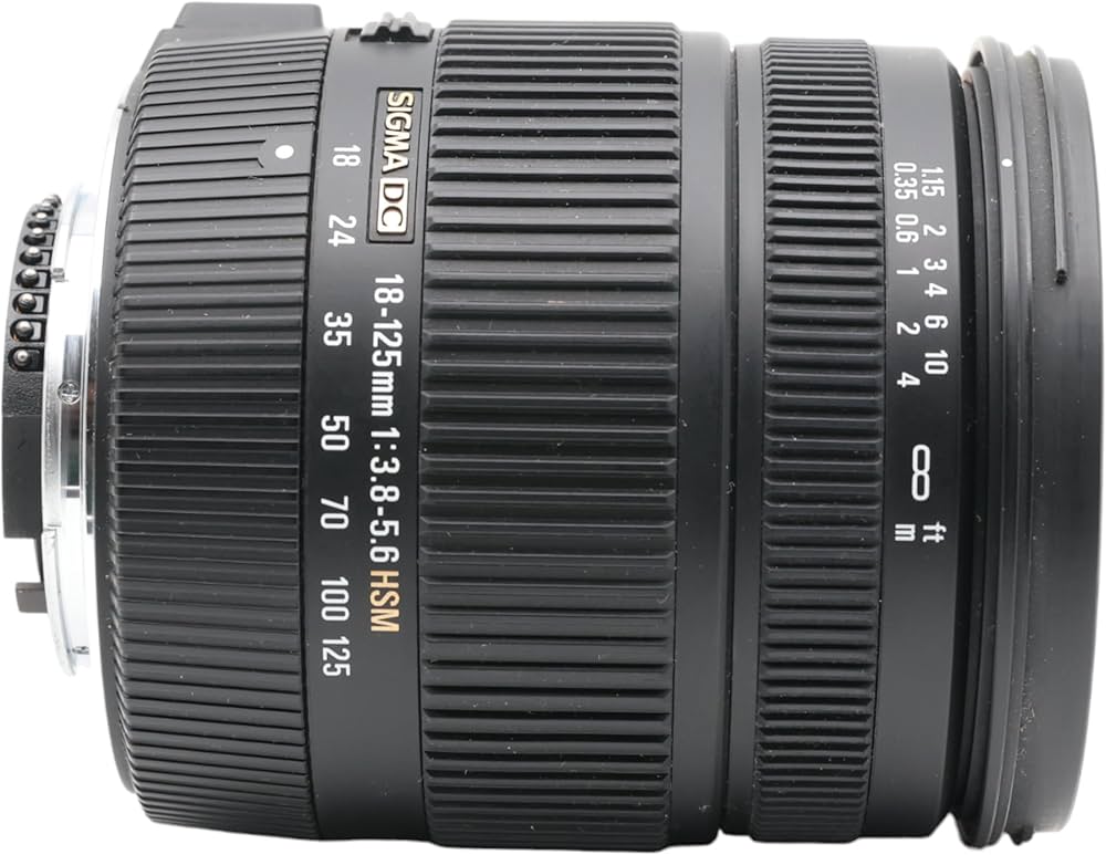 Sigma 18-125mm 3,5-5,6 DC OS HSM obiettivo per Nikon : Amazon.it