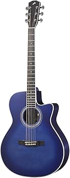 Amazon | Morris (モーリス) エレクトリック アコースティックギター R