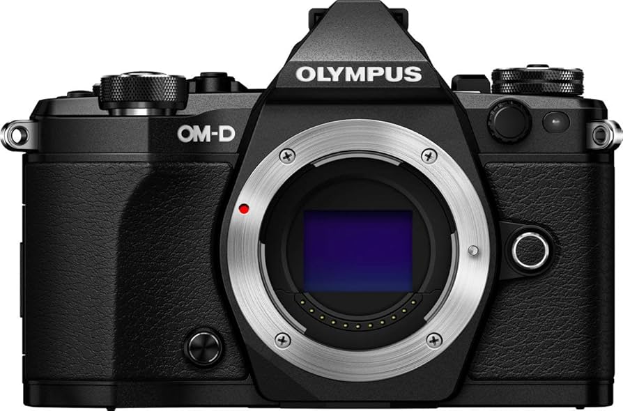 Amazon.com : Olympus OM-D E-M5 Mark II Micro Four Thirds System