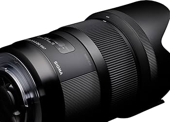 Amazon.co.jp: シグマ(Sigma) SIGMA シグマ Nikon Fマウント レンズ