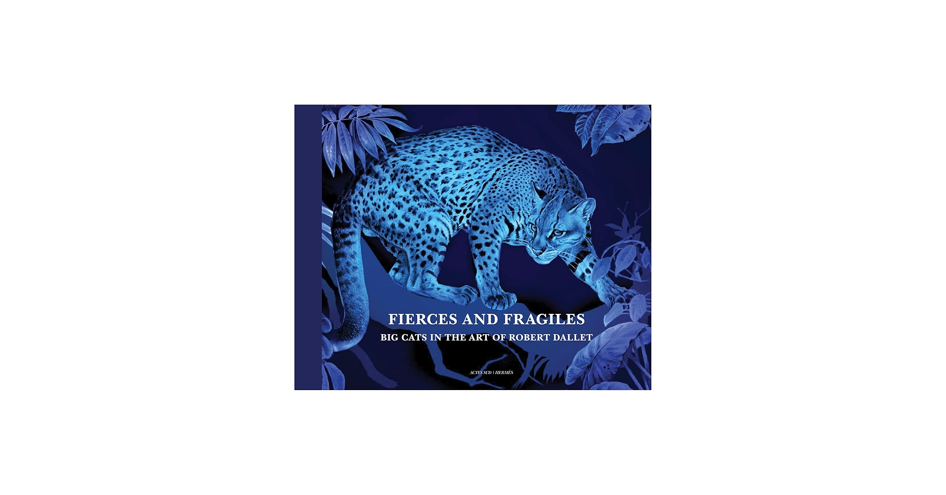 Fierce and Fragile: Big Cats in the Art of Robert Dallet: Dallet