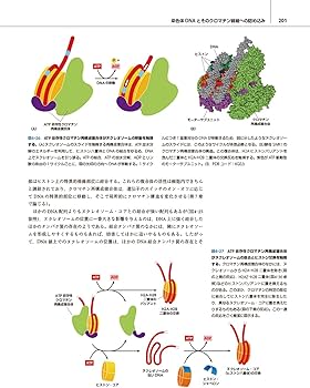 細胞の分子生物学 原書第7版 | 中村桂子, 水島昇, 塩見春彦, 三浦正幸