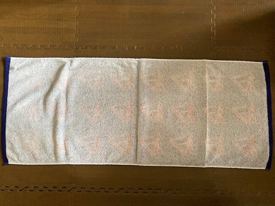 Amazon.co.jp: Dragon Ash ドラゴンアッシュ ツアーグッズ タオル