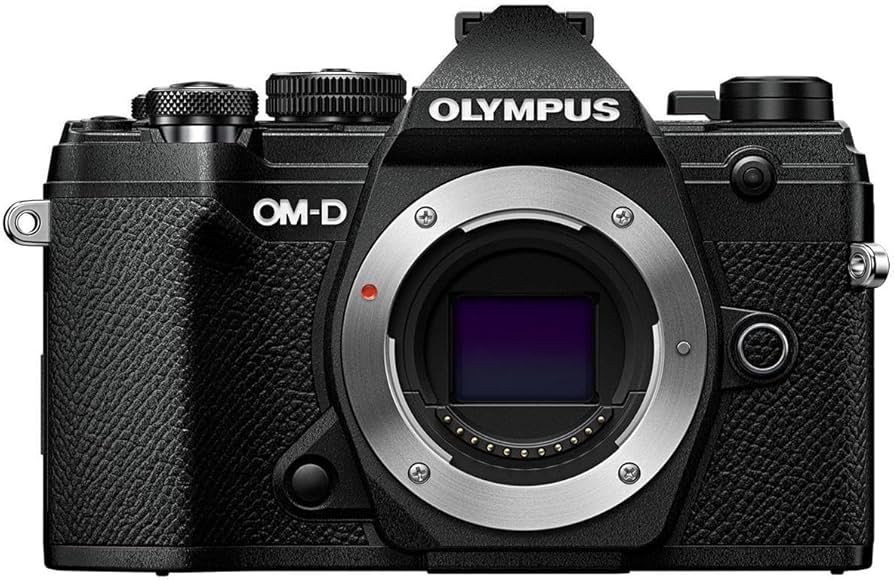 Amazon.com : OM SYSTEM Olympus OM-D E-M5 Mark III Body Black