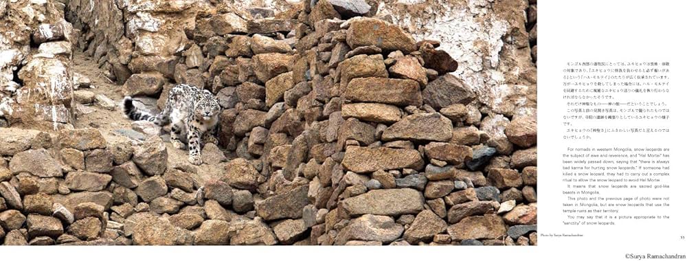 株式会社ラーテルハート 神の獣 雪豹 ―The Eidolon, Snow Leopard