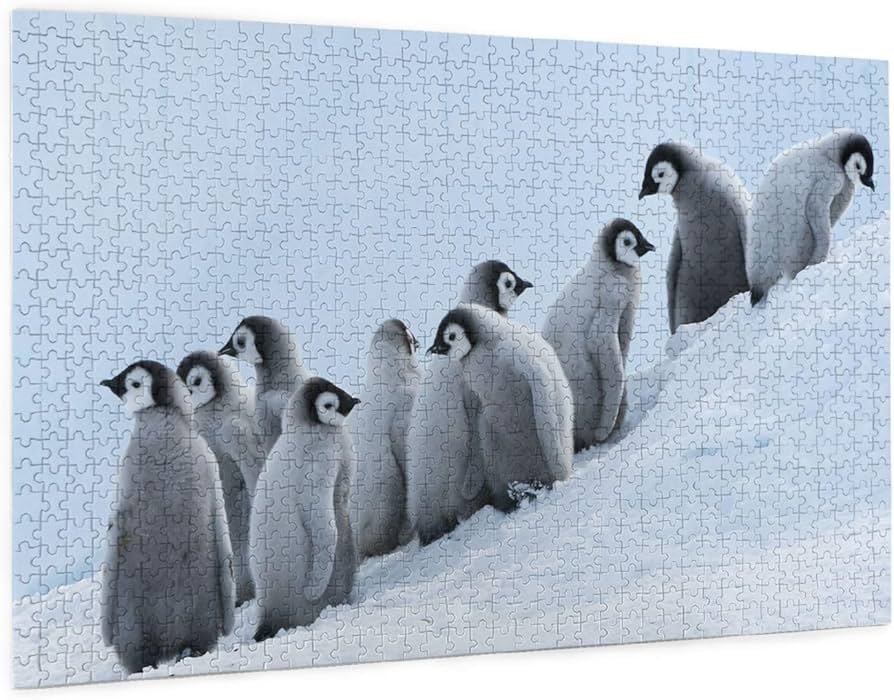 71r-ODvXzWL._AC_UF894,