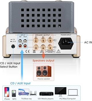Amazon.com: Douk Audio F5 Pure Class A HiFi Vacuum Tube Amplifier