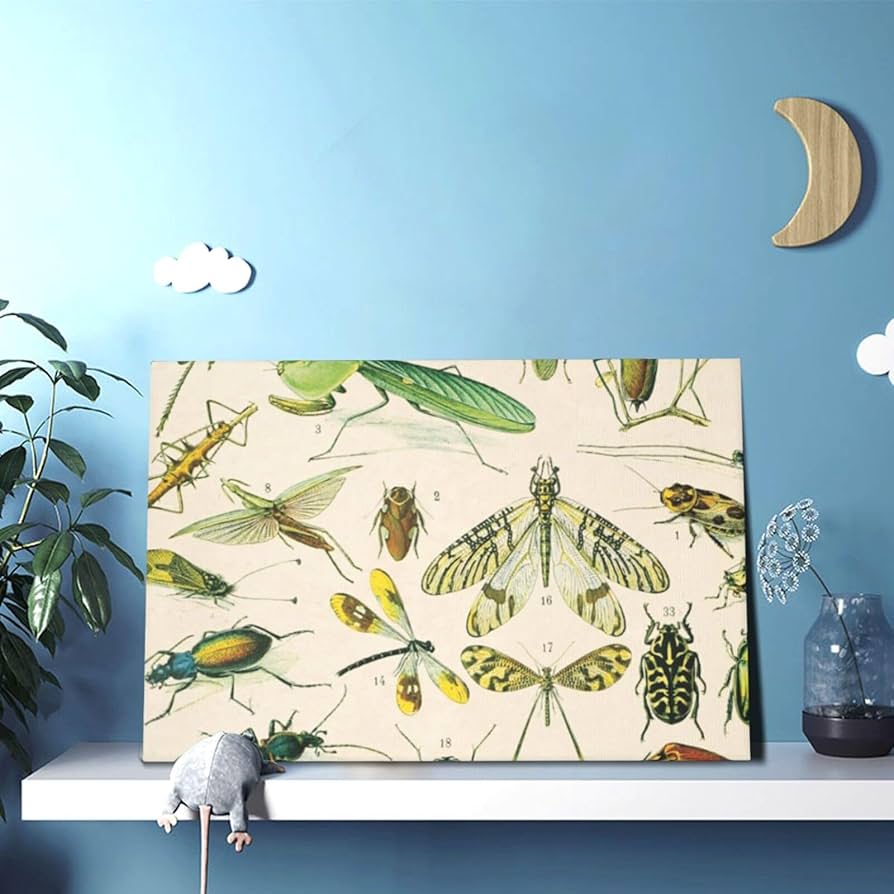 71r2m3V0lKL._AC_UF894,