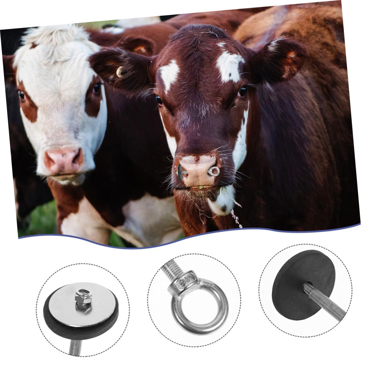 Amazon.co.jp: TINEASUR 牛鼻栓 牛リング 家畜牛の鼻輪 牛の