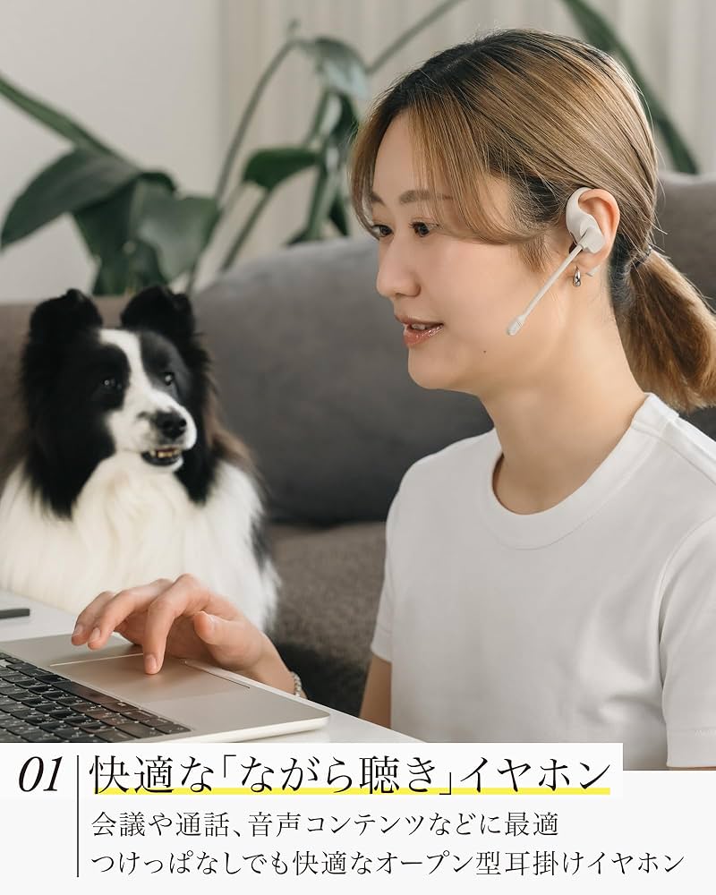 Amazon.co.jp: final KDT3000・声だけ届けるAIノイズバリアマイク搭載