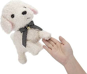 71sDIUMeZoL._AC_UF350,