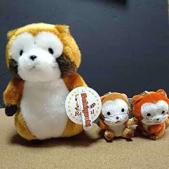 71sZGFuia5L._AC_UF350,